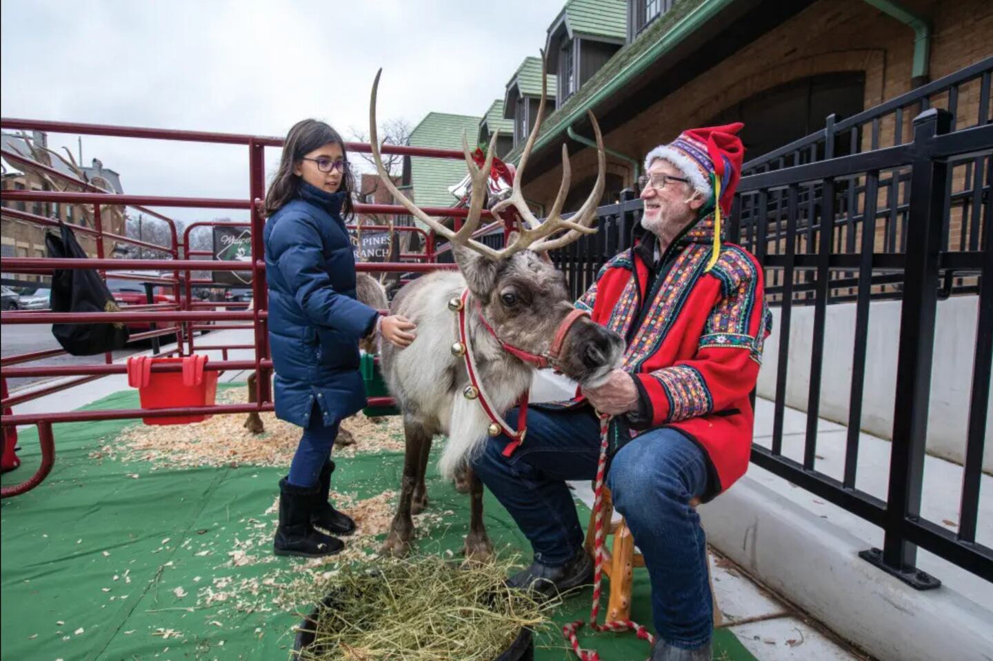Whispering Pines Reindeer Ranch & Tree Farm owner Randy Espe brings holiday glee to seasonal events with his reindeer. (Photo by Nathan Lambrecht/©Journal Communications)