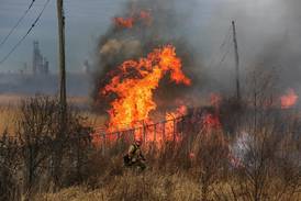 Midewin Prairie will do controlled burns starting in March
