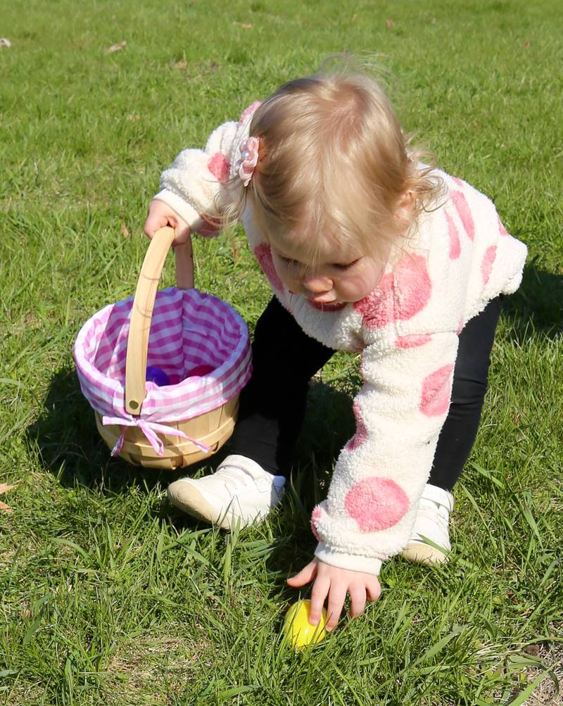 Norah Stensilik, of Elburn, finds an egg at the Elburn Lions Easter Egg Hunt on Saturday, April 12, 2025 in Elburn.