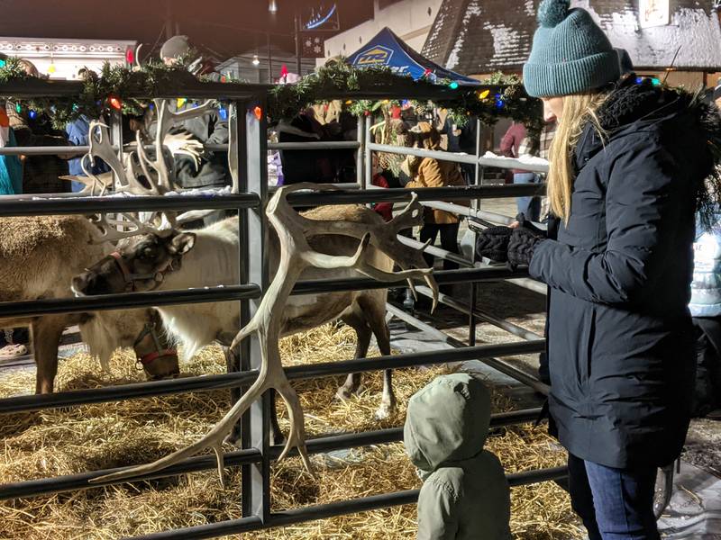 The Oswego Christmas Walk on Friday, Dec. 5, 2025, also featured reindeer.