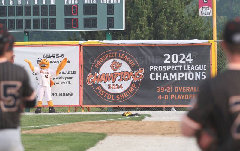 Illinois Valley Pistol Shrimp mascot Southclaw Sam, unveils the 2024 Championship banner on Thursday, June 5, 2025 at Schweickert Stadium in Peru.  The Illinois Valley Pistol Shrimp finished the 2024 season at 39-21 and went 4-0 in the playoffs to win the Prospect League title.