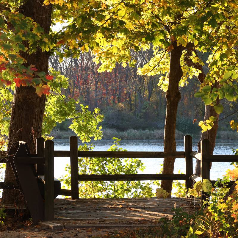 A scenic overlook on Shabbona Lake Tuesday, Oct. 22, 2024, at Shabbona Lake State Park.