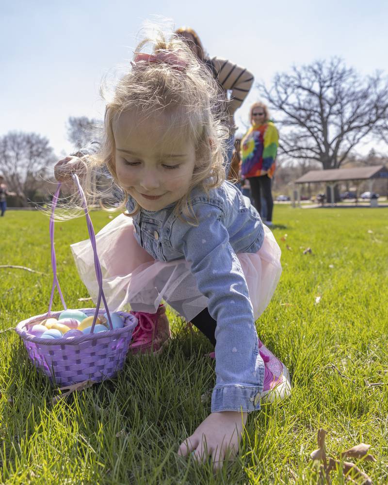 Karla Mentgen grabs an easter egg out of the grass during the Easter egg hunt on April 12, 2025 at Centennial Park in Peru.