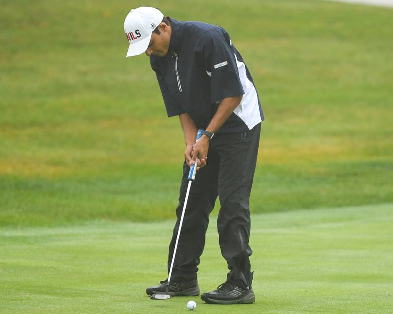 Hinsdale Central's golfer Dru Dévasta putts during the West Suburban golf match on Tuesday Sept. 24, 2024, held at Prairie Bluff Golf Course in Crest Hill.