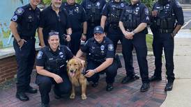 Woof! Wag! Geneva welcomes comfort dog Tommy