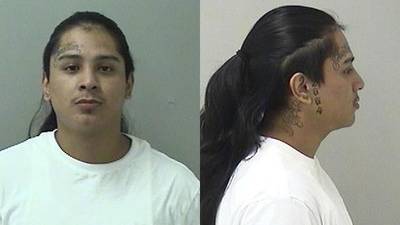 Adult, juvenile arrested and charged in Carpentersville shooting