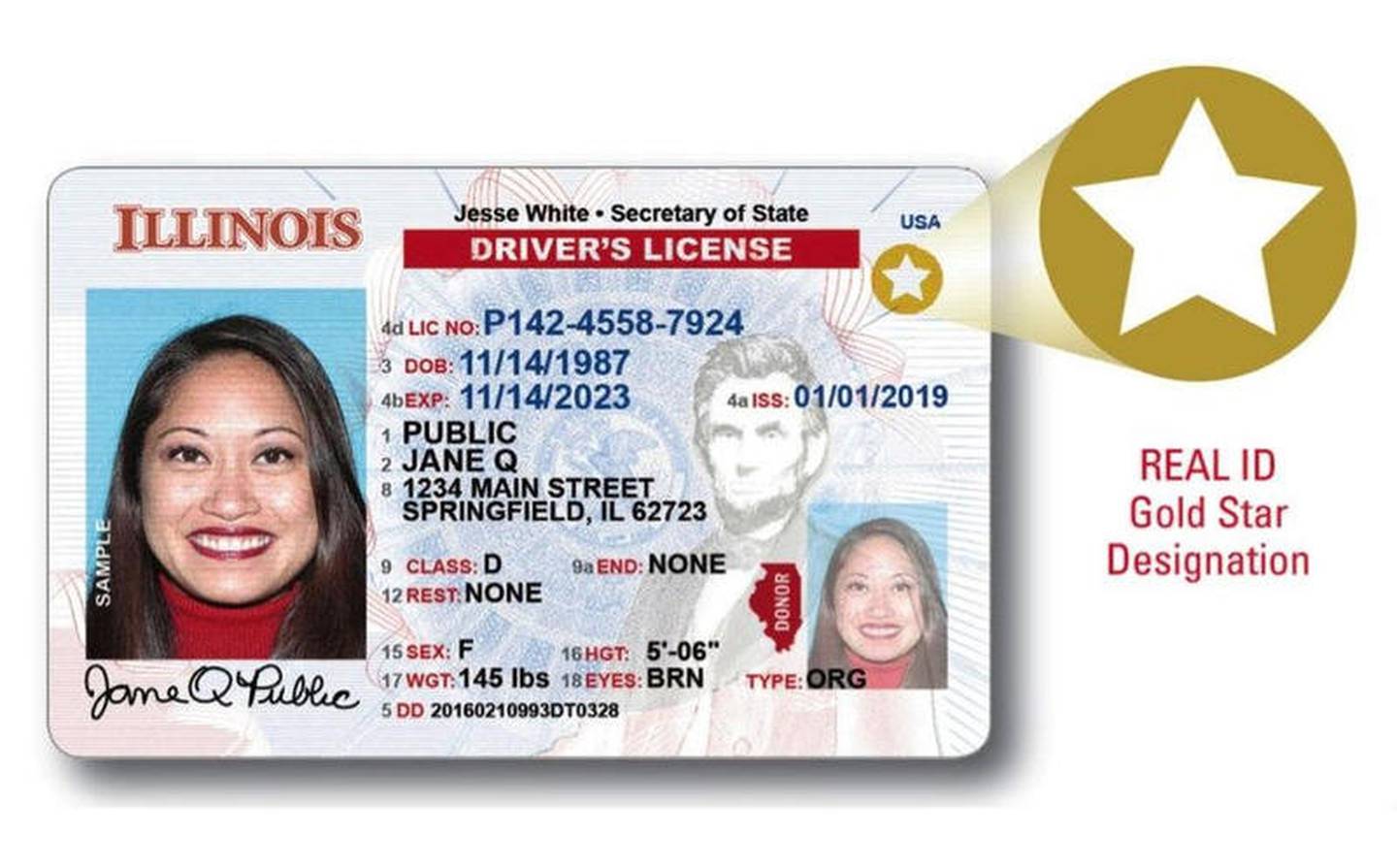 Illinois Real IDs will be distinguishable from non-Real IDs by a gold star on the upper right corner (file photo)