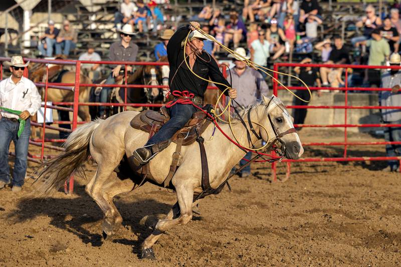 Wiley Hanathin works to rope his calf Thursday, August 7, 2025, at Carroll County Fair’s T and A Bucking Bulls Rodeo.