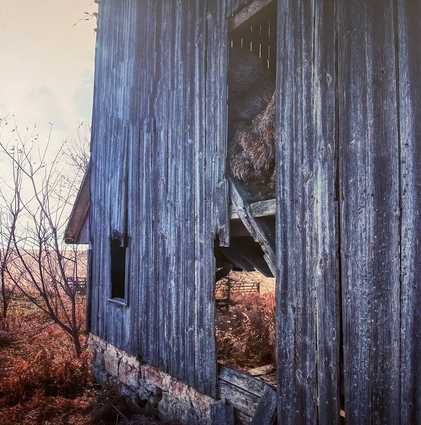 “Looking Through” digital photograph by Letha Catalina