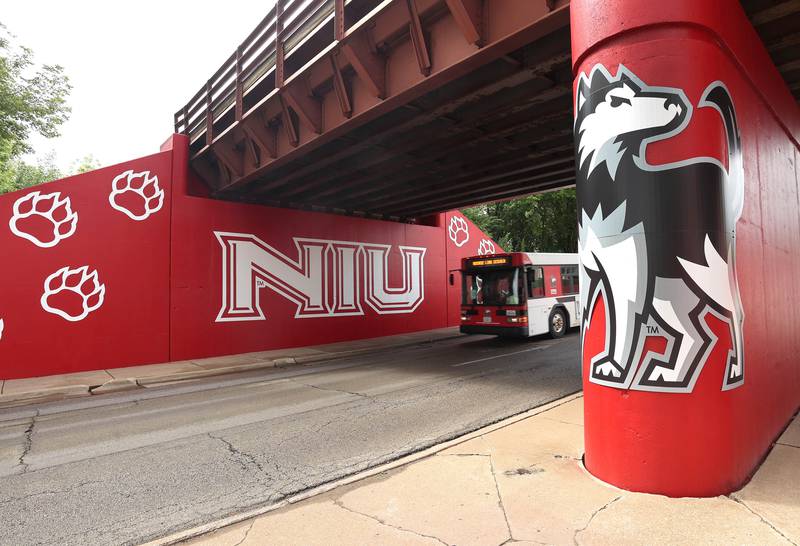 A Huskie Line bus drives by part of the new Huskie mural in this Shaw Local file photo on Monday, Aug. 14, 2023, on the Annie Glidden Road railroad underpass, just south of Lincoln Highway in DeKalb.