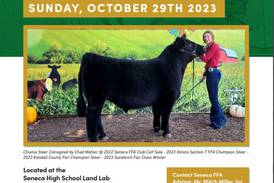 Seneca FFA hosts 66th annual club calf sale on Sunday, Oct. 29