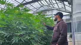 Intoxicating hemp remains unregulated in Illinois following legislative inaction