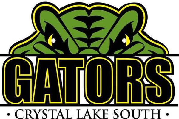 Matt Bychowsky’s gem leads Crystal Lake South past St. Viator in Florida: Wednesday’s Northwest Herald roundup