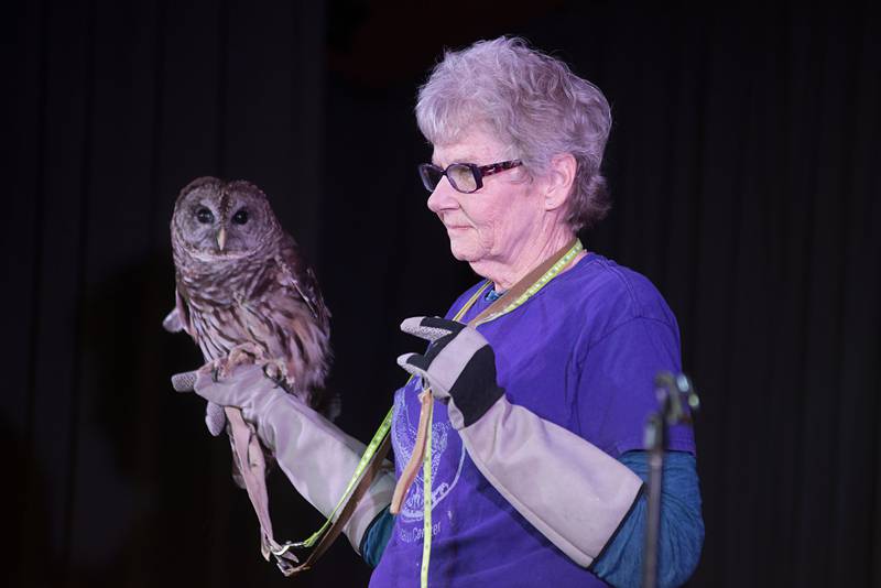 Volunteer Toni Murray, shows off Quinata, a barred owl rescued by Hoo Haven. Kids and their parents alike were excited to see and learn about a variety of animals.