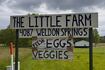 Illinois ‘chicken bill’ aims to boost small poultry farms, expand access to their products