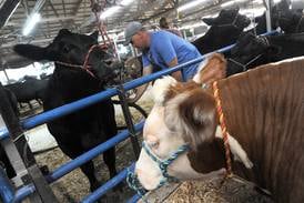 Kendall County Fair to feature truck and tractor pulls, livestock shows