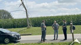 Photos: Cropdusting plane crashes in Ogle County