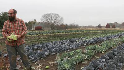 State grants allow small Illinois farmers to develop local food-sharing networks