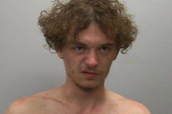 Lee County judge grants furlough to Dixon man held on weapons charges, can go to sober home 