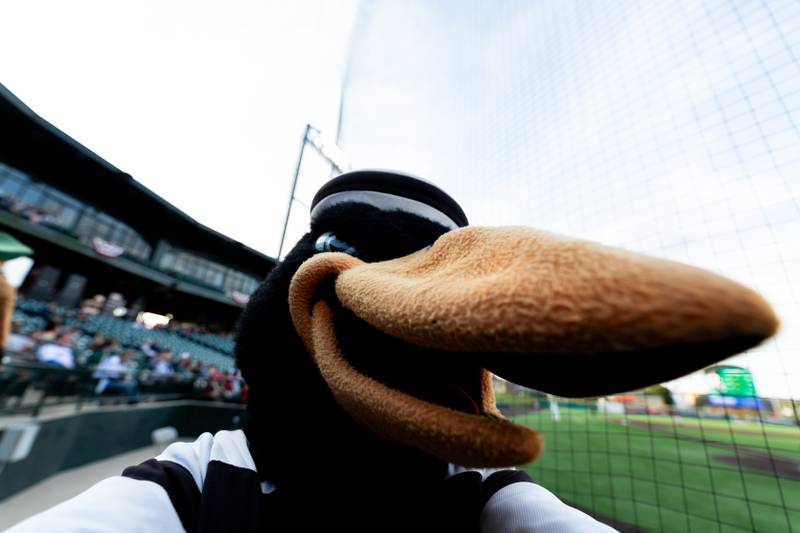 J.L. Bird steals a camera to snap a selfie during the home opener of the Joliet Slammers at Duly Health And Care Field on Friday, May 8, 2026.