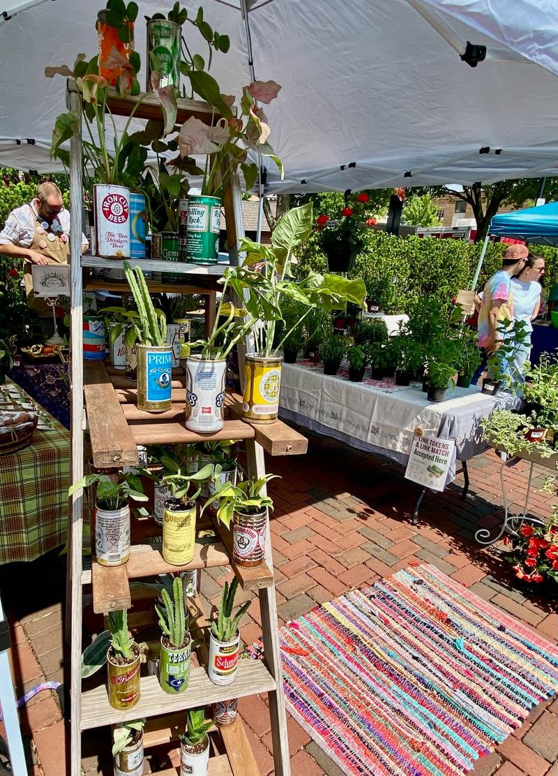 An array of plants, cacti and succulents are offered at the Sycamore-based Stoney Willows booth during the opening day of the DeKalb farmers market on Thursday, June 5, 2025, in Van Buer Plaza in downtown DeKalb. The market opened its 30th year Thursday.