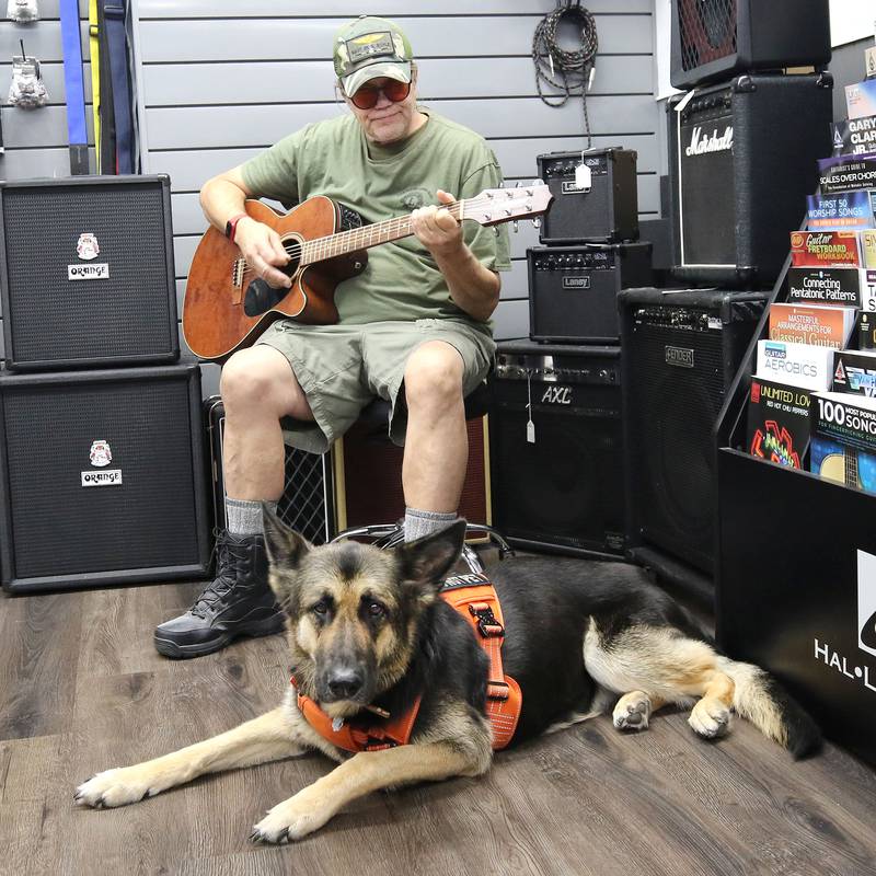 U.S. Marine Corps veteran Marshall Boyle, from DeKalb, plays guitar with his German Shepherd service dog, Lucy, Friday, Sept. 22, 2023, at Aurora Music Company in DeKalb. Boyle serves as an ambassador to Guitars 4 Vets and volunteers for Habitat for Humanity.