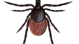 Here are 8 tips to prevent tick exposure from La Salle County Health Department