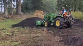 ‘Mini-forests’ are rare in the US. The Algonquin Garden Club is planting one in Kane County