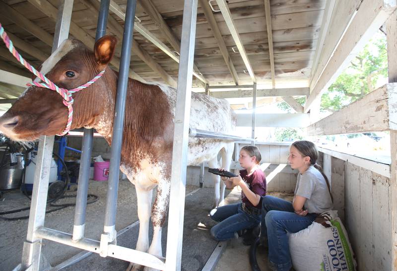 Korra Wilson and her sister Charlotte of Ottawa, dry off their cow before showing it in the La Salle County 4-H Fair on Friday, July 14, 2023 in Ottawa.