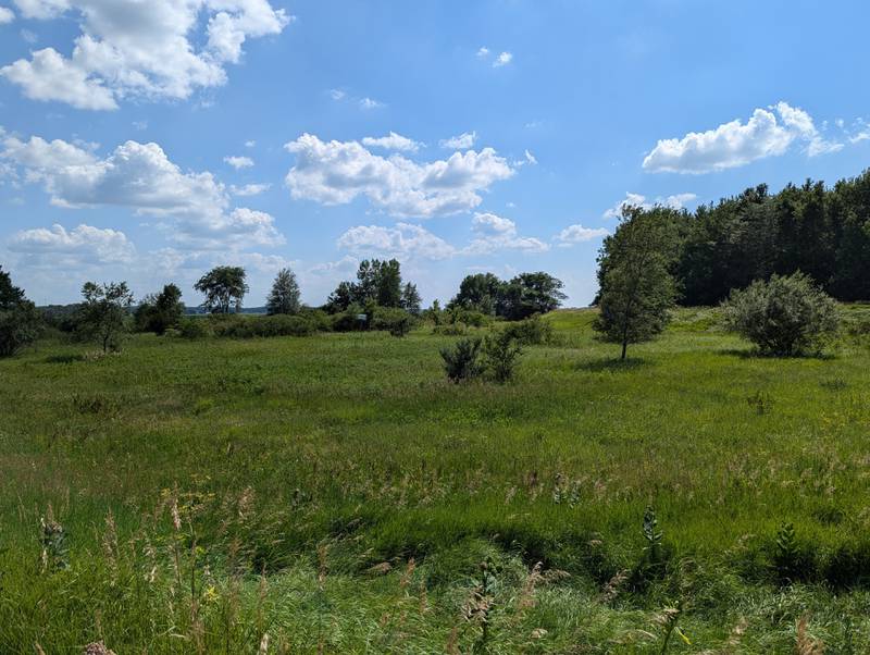 Rolling hills and wide-open spaces characterize the landscape of downstate Menard County IL.