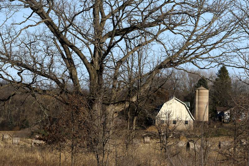 A barn seen along the walking trail at the McHenry County Conservation District's Elizabeth Lake Nature Preserve Varga Archeological Site on Wednesday, March 6, 2024, The wetland area near Richmond along the Wisconsin Board is  composed of every stage of wetland. The area also a habitat for  29 species of native fish, 200 species of plant life, 55 species of birds, 15-20 butterfly species, and 20 state threatened and endangered species