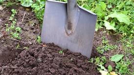 Illinois Extension offers square foot gardening workshop May 12