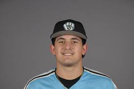 Willowbrook on track to meet expectations: Suburban Life baseball notebook