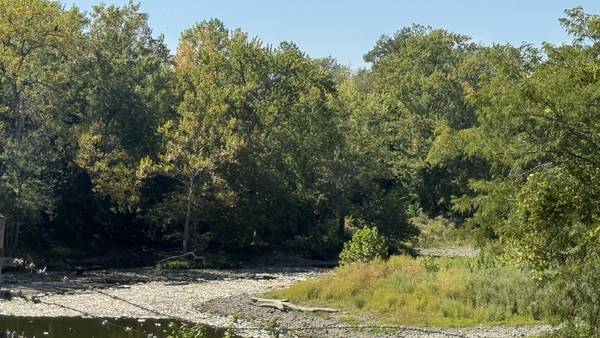 Thousands of dead fish wash up near Streator dam
