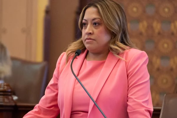 Lawmakers postpone Cook County property tax debt sale to continue working on reforms