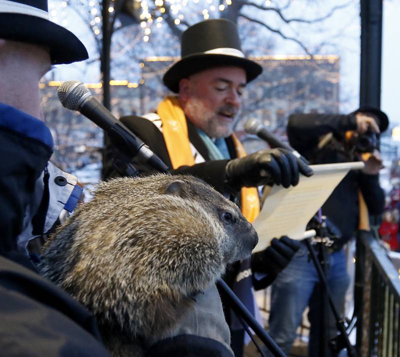 Woodstock Willie is held by handler Mark Szafarn as Willie makes his prognostication of an early spring Wednesday, Feb, 2, 2022, as Woodstock Mayor Mike Turner announces Willie’s findings during the annual Groundhog Day Prognostication on the Woodstock Square. This is the 30th anniversary of the movie "Groundhog Day" that was filmed in Woodstock.