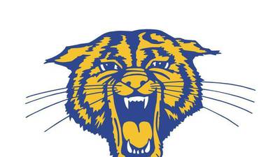 Somonauk cheer heading to state; Raiden Terry wrestles to regional title: The Times Saturday Roundup