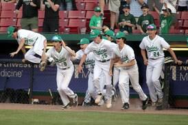 Baseball: York ‘proved a lot of people wrong’ in reaching state for first time since 1993