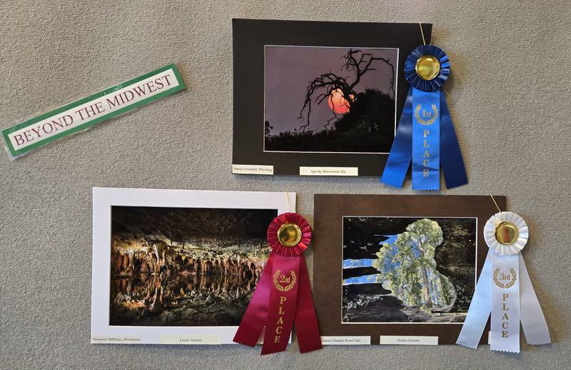 Beyond the Midwest Plants/Landscapes

1st      Stacey Greenhill of Wheeling for “Spooky Botswanan Sky”
2nd     Narayani Hiffman of Woodstock for “Luray Cavern”
3rd      Lianne Tebussek of Round Lake for “Giants Inside”