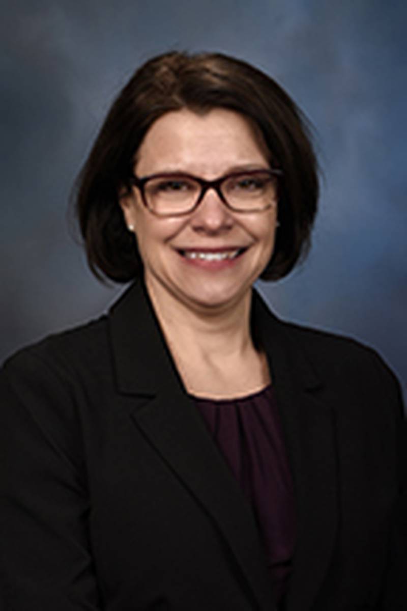 State. Rep. Suzanne Ness, D-Crystal Lake