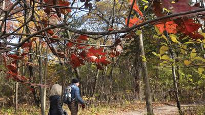 Eye On Illinois: Park gets cash infusion; sports bets down and up; remember 27 time zones?