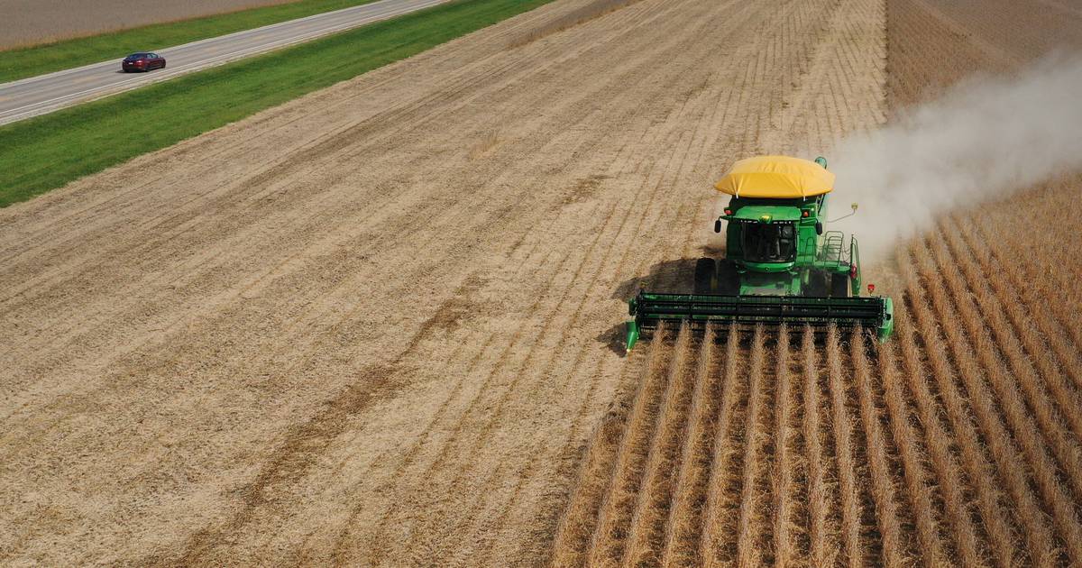 Eye On Illinois: Economic woes for state’s farmers would be everyone’s problem