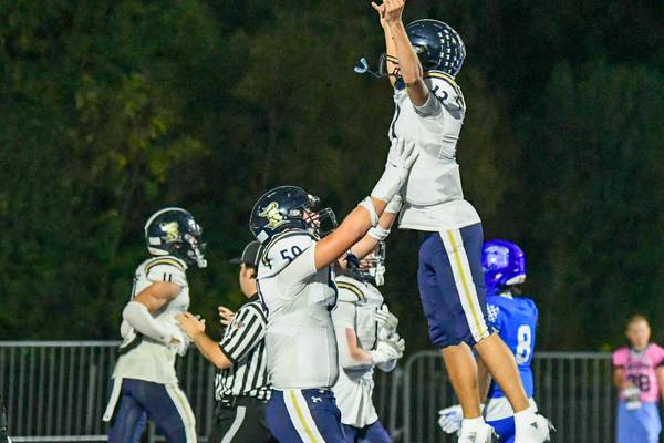 Roxana IHSA proposal releases mock-ups for 3A-4A schools