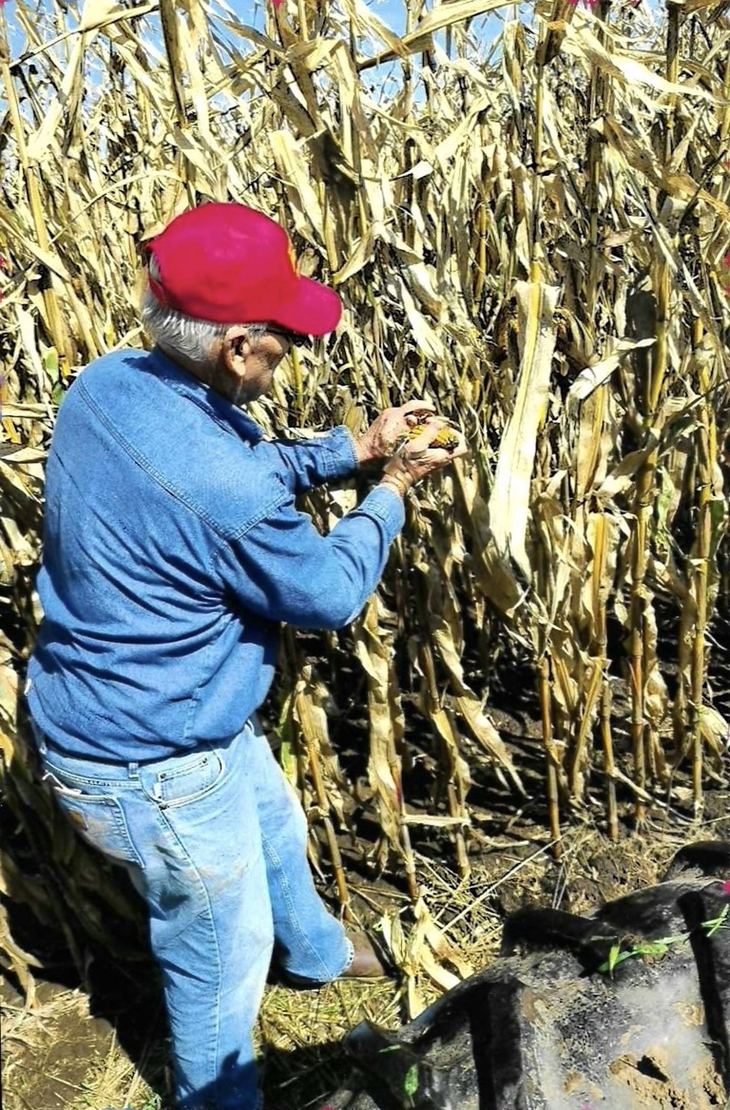 Dewayne Adams qualified for the national contest by finishing in the top two in the state. He’s been participating in corn husking contests since 2017.