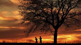 Second-warmest November on record means that 2024 is likely to be Earth's hottest year, report says