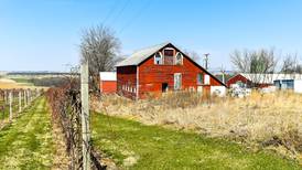 Uncorked in Illinois: Galena Cellars produces unexpected flavor profiles