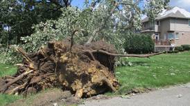 Two tornadoes confirmed in Will, Grundy counties