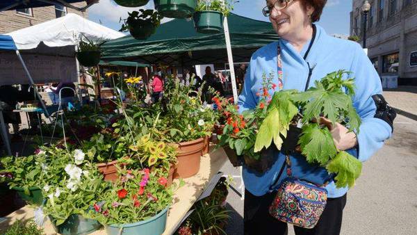 5 Things to Do: Blooming Fest, Lilac Parade, Architectural tours and more this weekend 