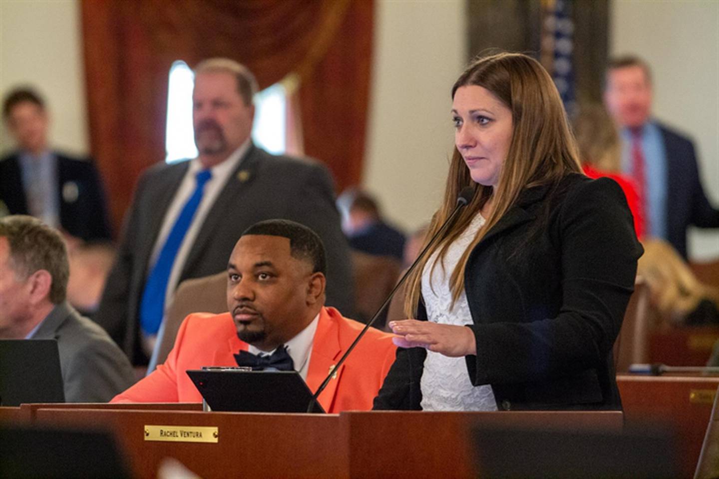State Sen. Rachel Ventura, D-Joliet, is pictured on the Senate floor last month.