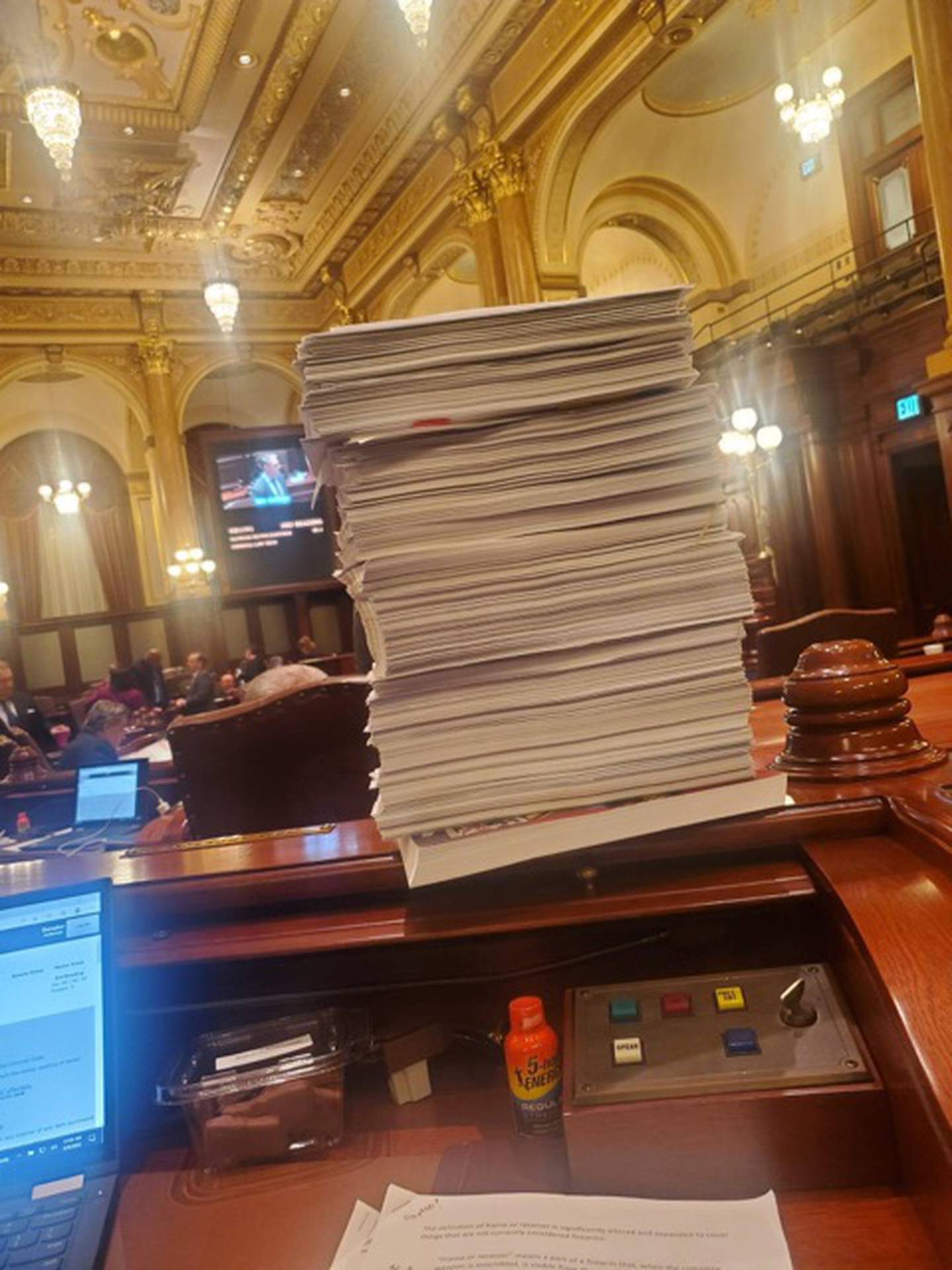 Photo of a copy of the 2022 Illinois state budget. Photo courtesy of state Sen. Neil Anderson.
